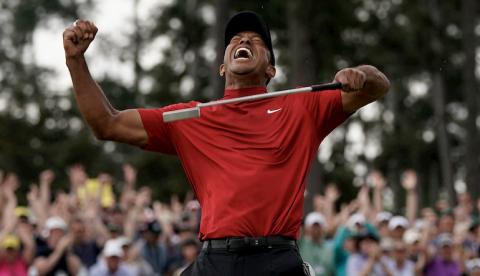 Pic of Tiger Woods by David J. Phillip  and AP